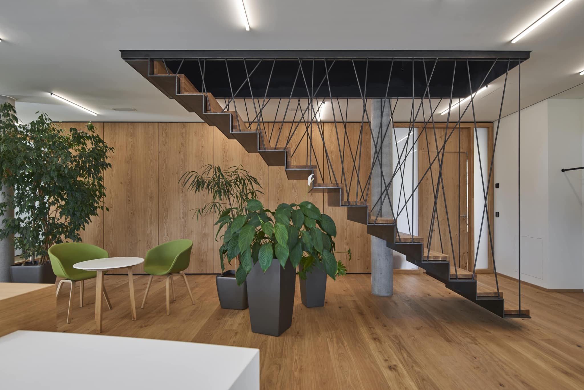 Fischer Parkett Holz und Nachhaltigkeit